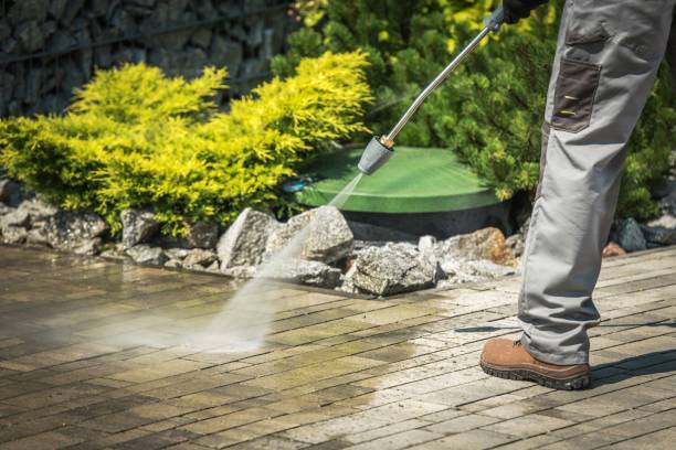 Animal Enclosure Cleaning in Towson, MD